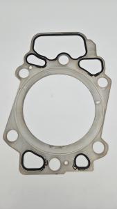 Liebherr D9508 guarnizione della testa del cilindro 10118055